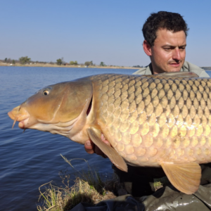 Carp